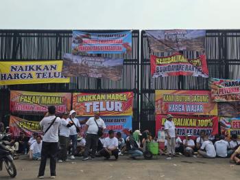 Peternak Ayam Petelur dari Berbagai Provinsi Geruduk DPR RI, Minta Komisi IV Atasi Harga Pakan Melambung dan Harga Telur Hancur